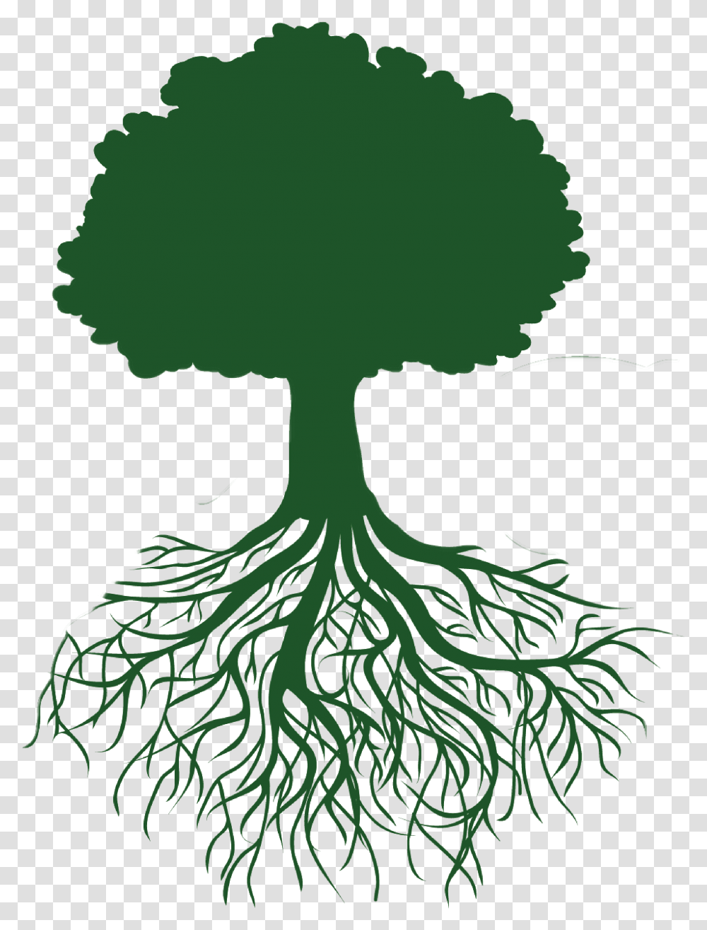 Clip Art Roots Illustration Tree Outline With Roots Transparent Png