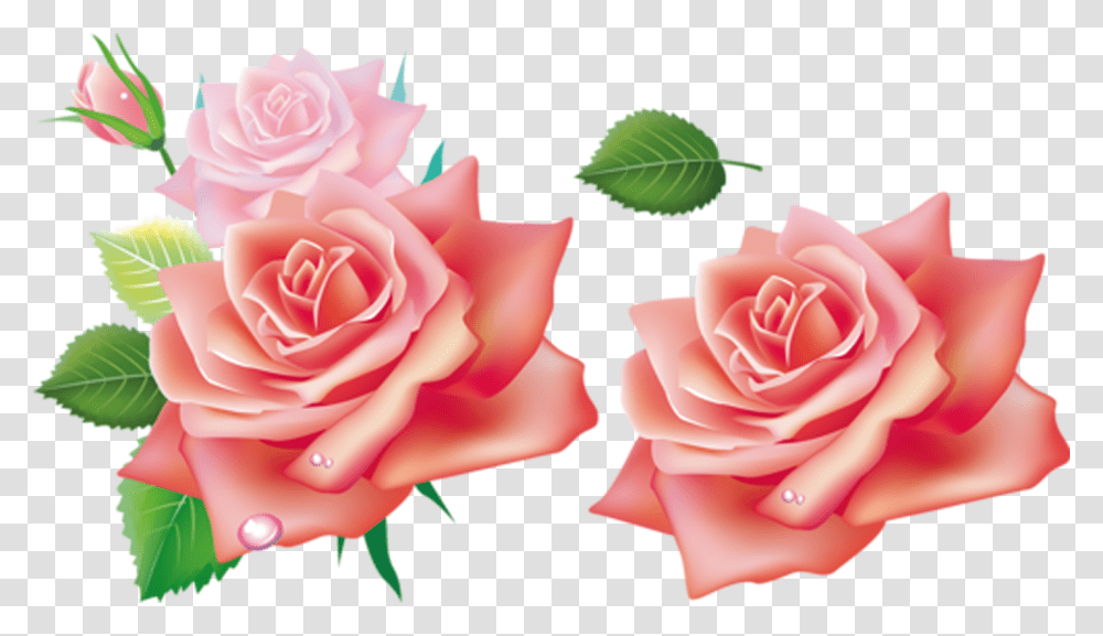 Clip Art Rosadas For Free 3d Flowers Hd, Rose, Plant, Blossom, Petal Transparent Png