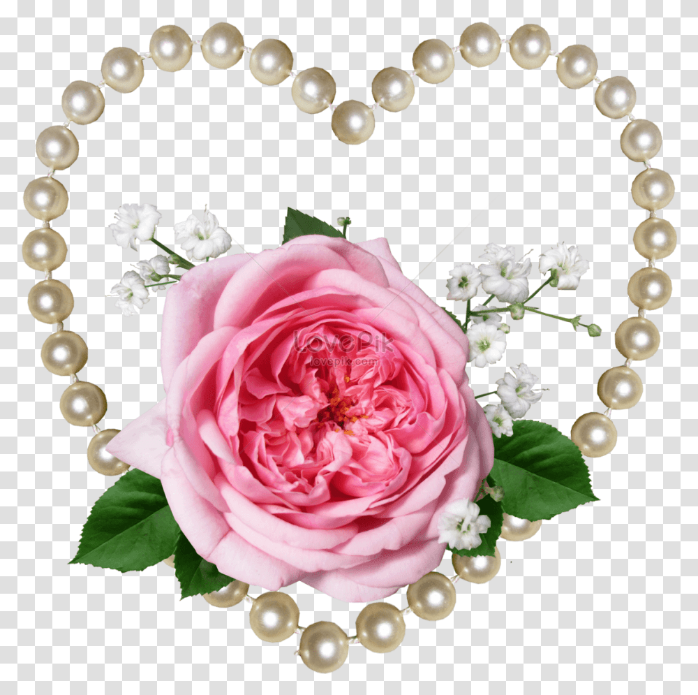 Clip Art Rose Pearl Background Photo Pink Tea Rose And Pearls, Accessories, Accessory, Jewelry, Flower Transparent Png