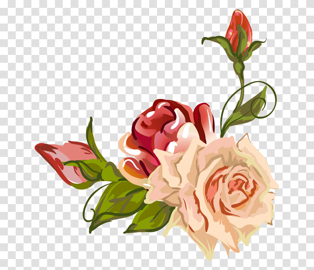 Clip Art Rose Petal Drawings Garden Roses Drawing, Flower, Plant, Blossom, Peony Transparent Png