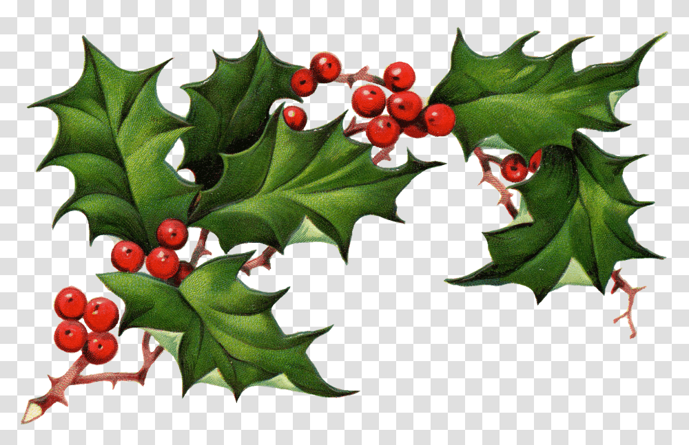 Clip Art Royalty Free Library Files Mistletoe Red Or White, Leaf, Plant, Tree, Food Transparent Png