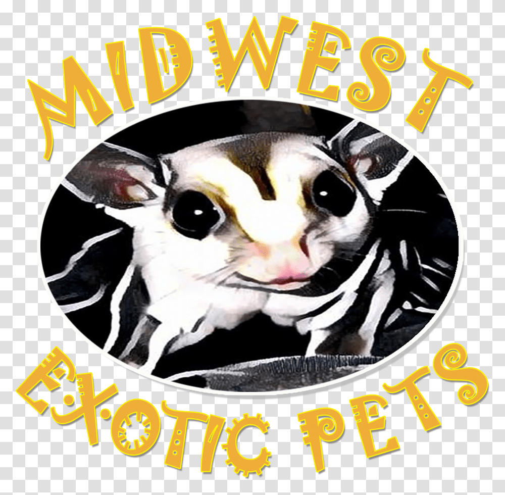 Clip Art Royalty Free Welcome To Midwest Pets Poster, Advertisement, Label, Cat Transparent Png
