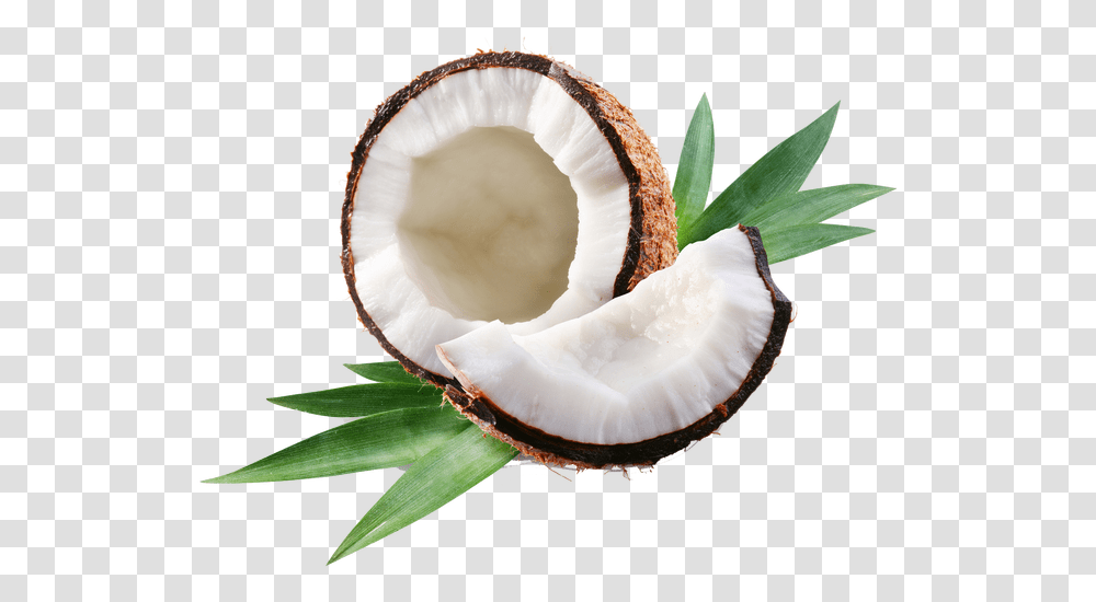 Clip Art Royalty Free Why We Break Coconuts Coconut Oil, Plant, Vegetable, Food, Fruit Transparent Png