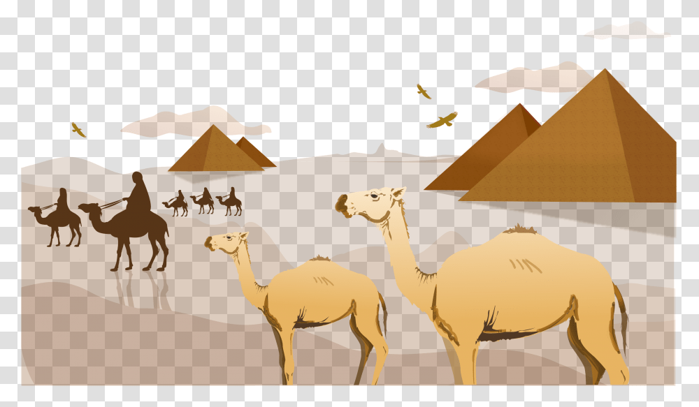 Clip Art Sahara Arabian Clip Art Egypt Sahara Desert Clip Art, Camel, Mammal, Animal, Antelope Transparent Png