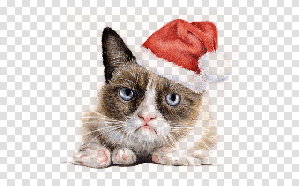 Clip Art Santa Cat, Pet, Mammal, Animal, Kitten Transparent Png