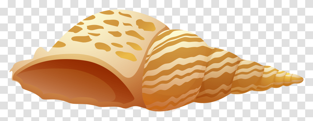 Clip Art Sea Shell, Bread, Food, Bun, Fungus Transparent Png