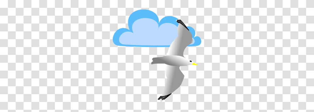 Clip Art Seagull Flying, Animal, Albatross, Bird, Person Transparent Png