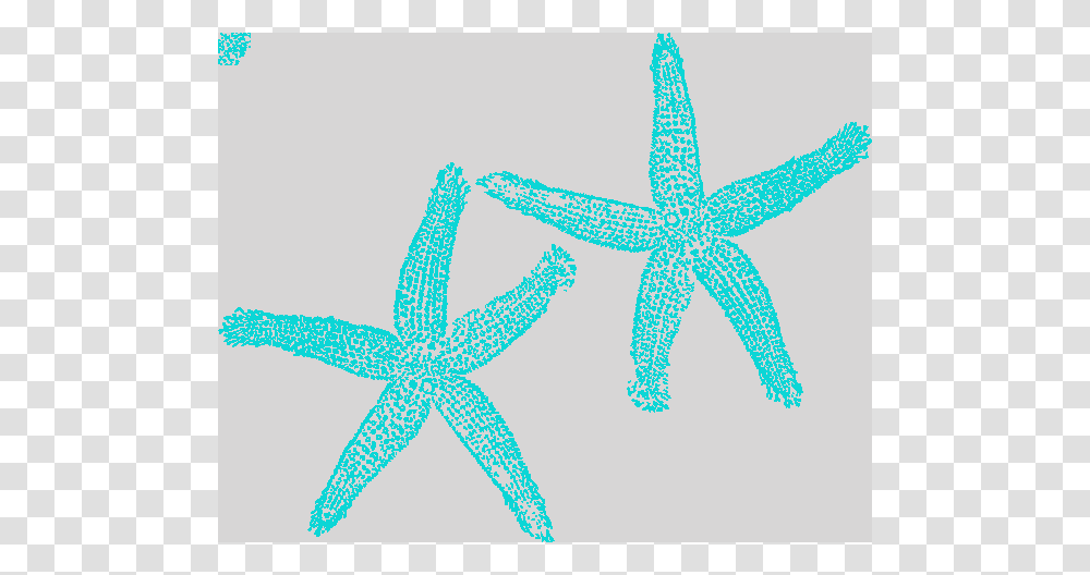 Clip Art Seastar Clipart, Starfish, Invertebrate, Sea Life, Animal Transparent Png