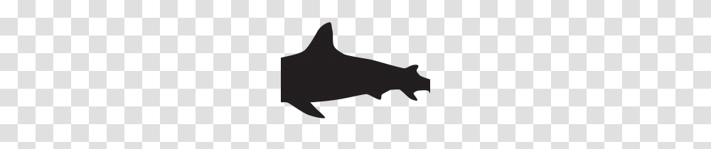 Clip Art Shark Clip Art, Sea Life, Animal, Mammal, Dolphin Transparent Png