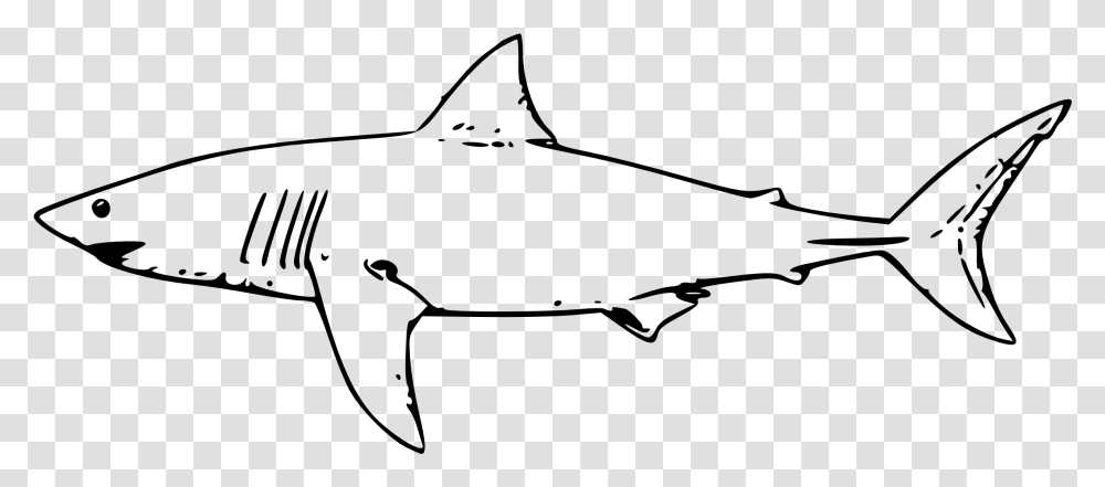 Clip Art Shark Outline Great White Shark Clipart, Gray Transparent Png
