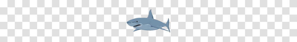 Clip Art Shark, Sea Life, Fish, Animal, Great White Shark Transparent Png
