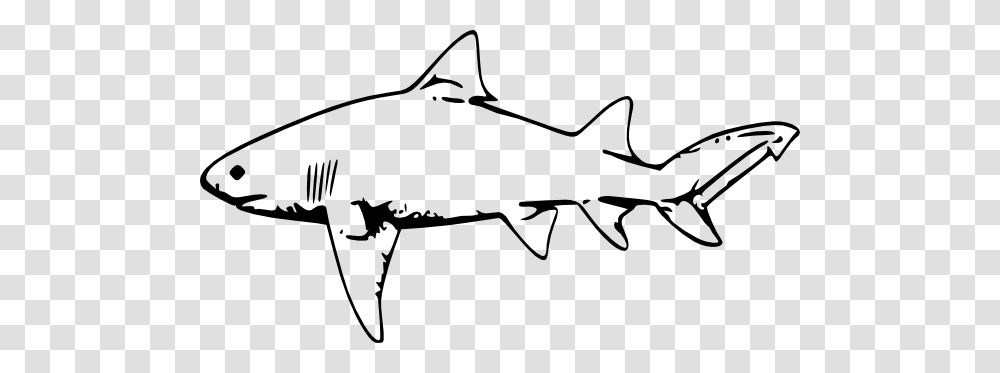 Clip Art Sharks Shark Cute, Bow, Animal, Fish, Sea Life Transparent Png