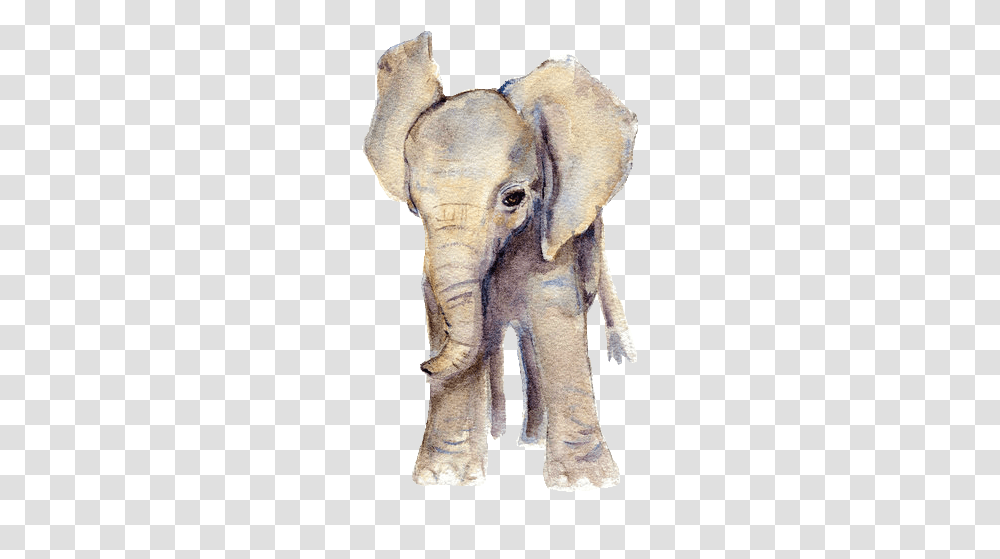 Clip Art Showcasing Some Surfer Style Baby Animals Watercolor, Elephant, Wildlife, Mammal Transparent Png