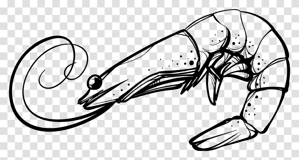 Clip Art Shrimp Vector Shrimp Black And White Clip Art, Animal, Sea Life, Seafood, Fish Transparent Png