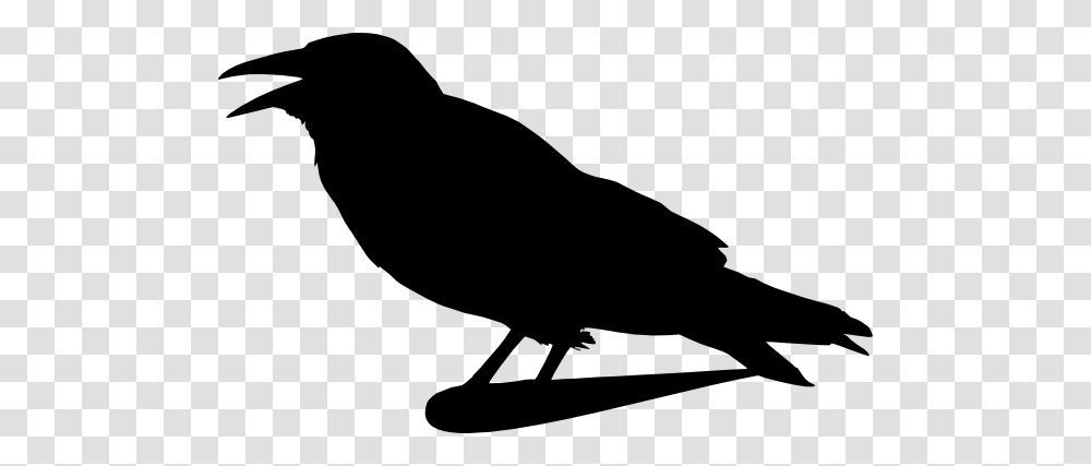 Clip Art, Silhouette, Animal, Bird Transparent Png