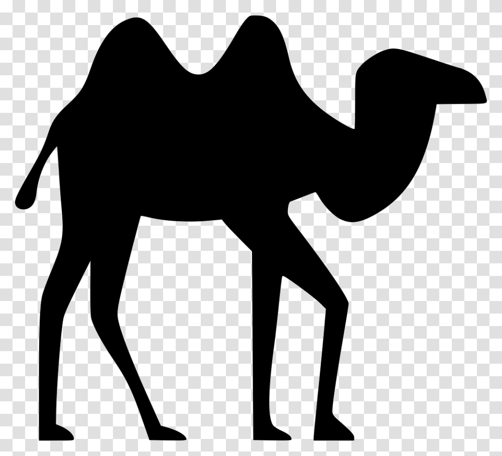 Clip Art Silhouette Dromedary Computer Icons Image Arabian Camel, Mammal, Animal Transparent Png