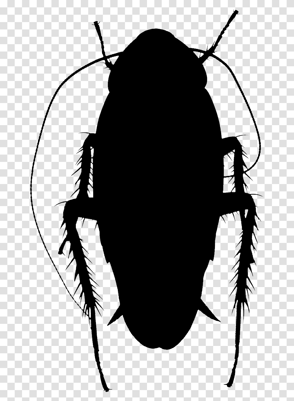 Clip Art Silhouette Insect Membrane Ground Beetle, Gray, World Of Warcraft Transparent Png