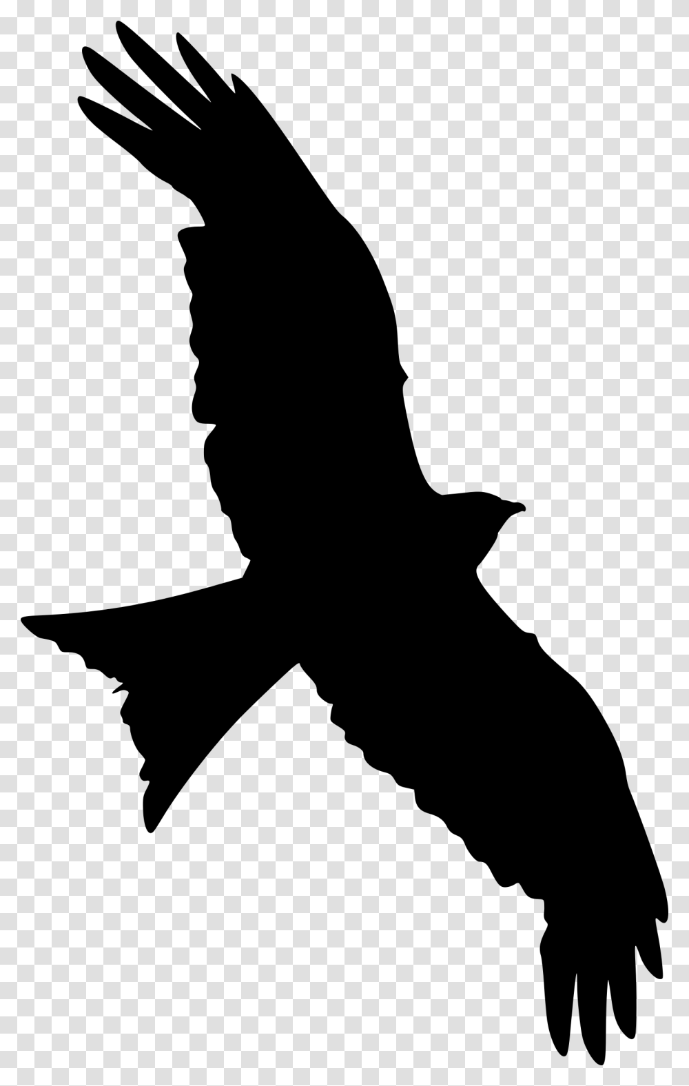 Clip Art Silhouette Portable Network Graphics Falcon Flying Bird Silhouette, Gray, World Of Warcraft Transparent Png