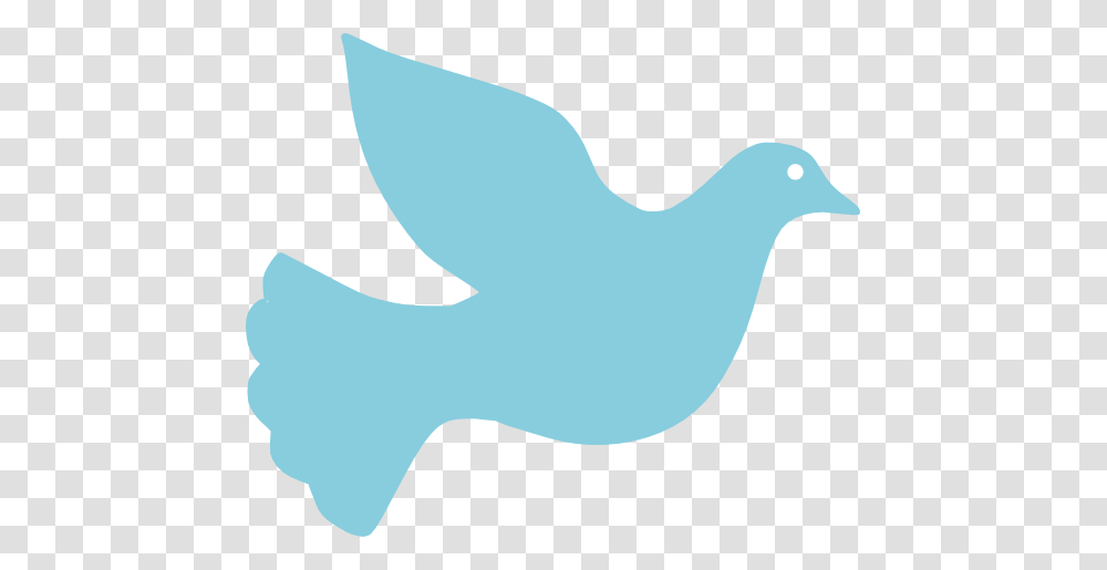 Clip Art Simpl Cibo Water Dove Peace Peace Sign, Bird, Animal, Pigeon, Shark Transparent Png