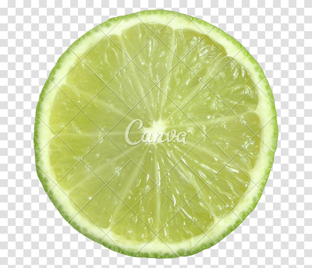 Clip Art Sliced Lime Key Lime, Tennis Ball, Sport, Sports, Citrus Fruit Transparent Png