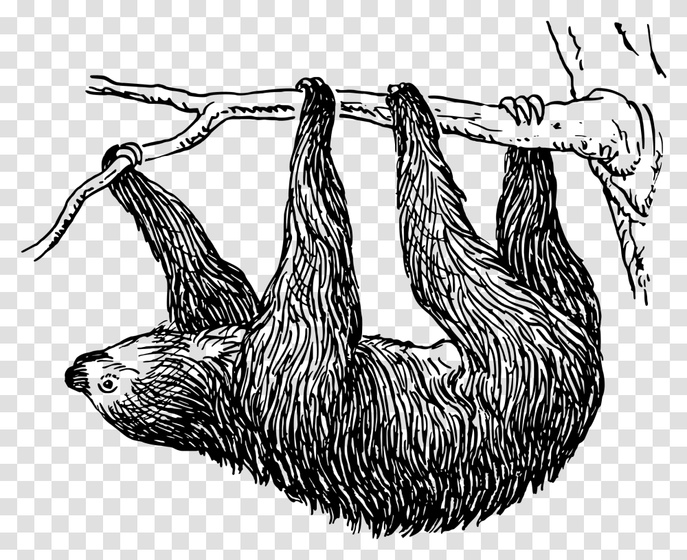 Clip Art Sloth Svg Sloth Black And White Clip Art, Gray, World Of Warcraft Transparent Png