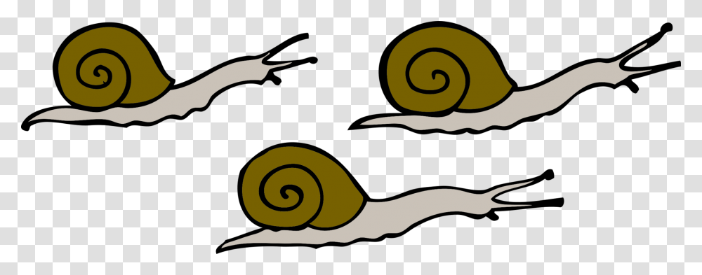 Clip Art Snails, Invertebrate, Animal, Bird, Spiral Transparent Png
