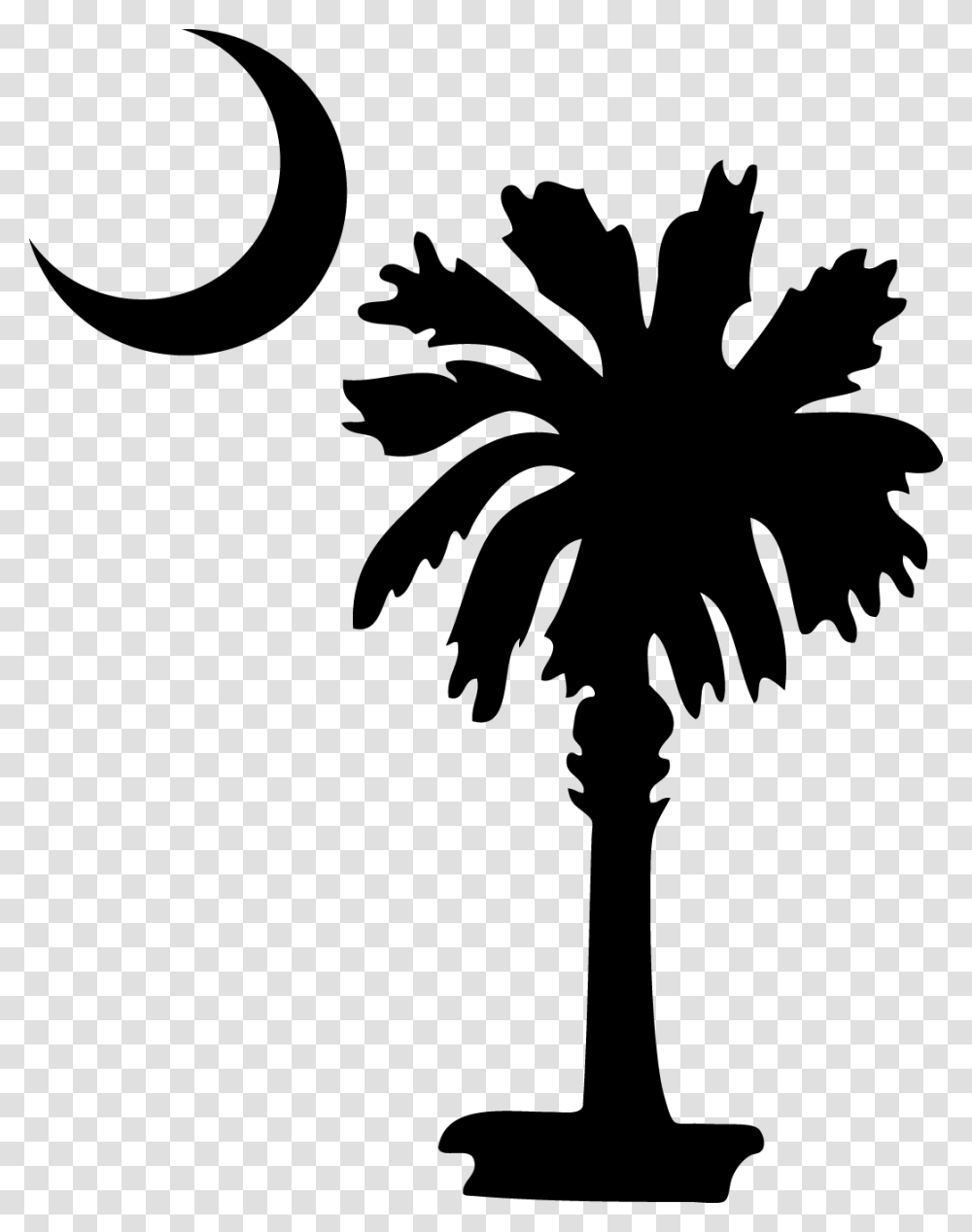 Clip Art South Carolina Palm Tree, Plant, Arecaceae, Silhouette Transparent Png