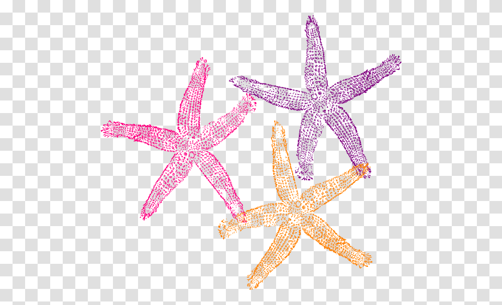 Clip Art Star Fish, Starfish, Invertebrate, Sea Life, Animal Transparent Png