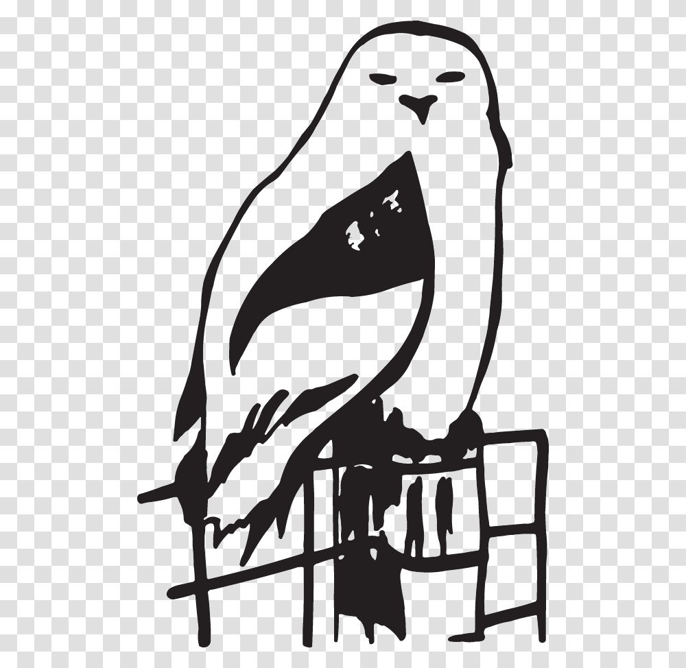 Clip Art, Stencil, Bird, Animal, Penguin Transparent Png