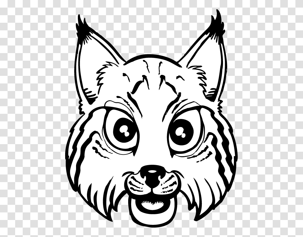 Clip Art, Stencil, Mammal, Animal, Raccoon Transparent Png