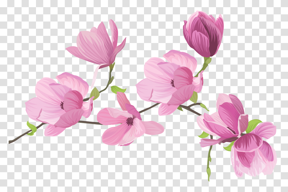 Clip Art Sweet Pea Flower Background Flower Clipart, Plant, Blossom, Hibiscus, Geranium Transparent Png