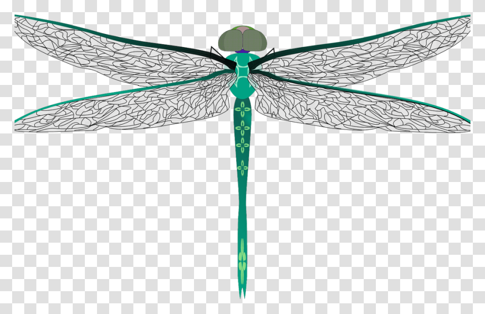 Clip Art Symbolism And Meaning Off Big Dragonfly Clipart, Insect, Invertebrate, Animal, Anisoptera Transparent Png