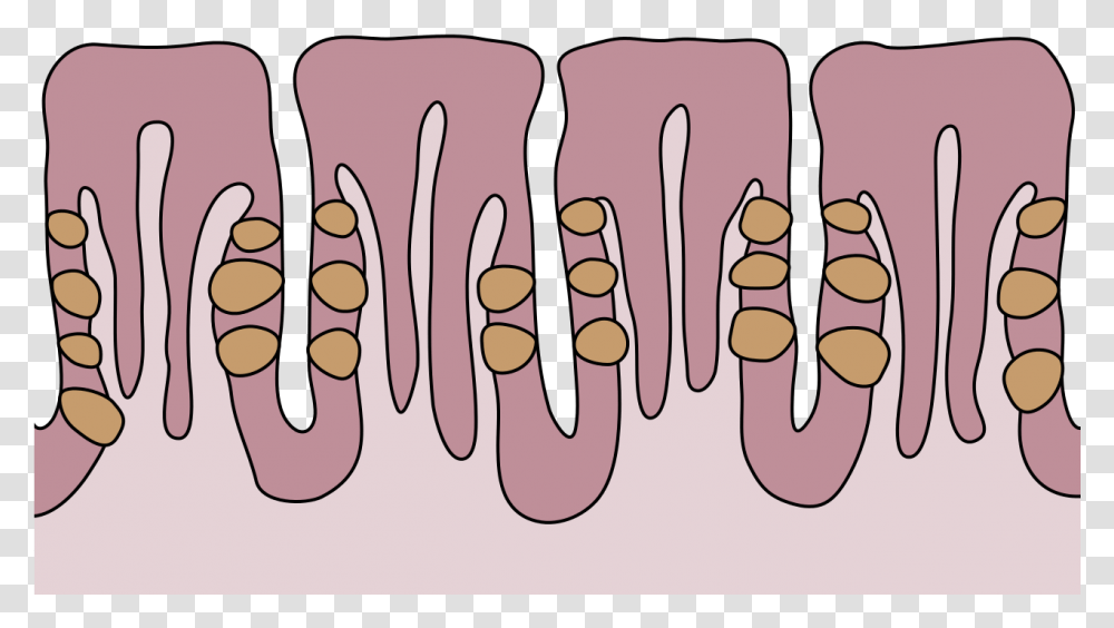 Clip Art, Teeth, Mouth, Drawing, Doodle Transparent Png