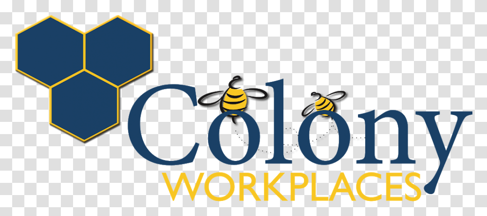 Clip Art, Wasp, Bee, Insect Transparent Png