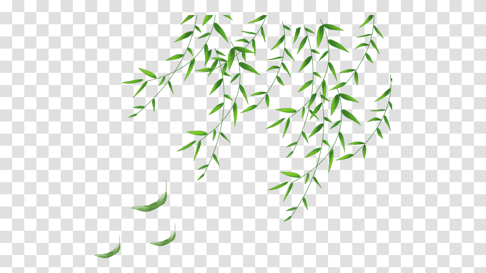 Clip Art The For Daun Hijau, Green, Plant, Leaf, Tree Transparent Png