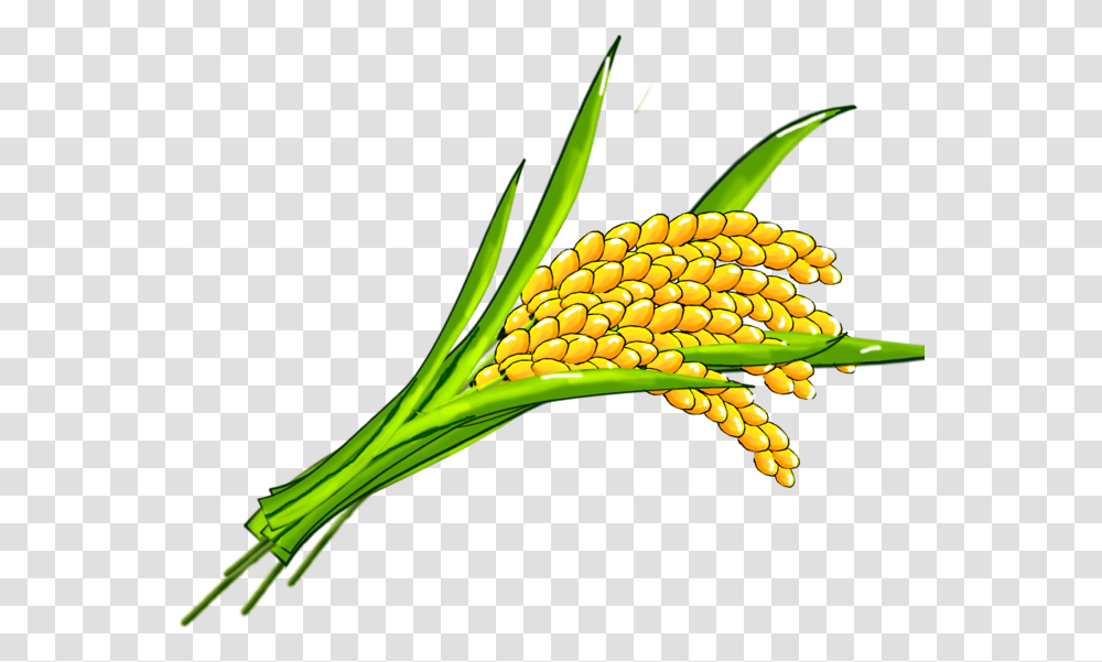 Clip Art Transprent Free Download Grass Illustration, Plant, Vegetable, Food, Corn Transparent Png