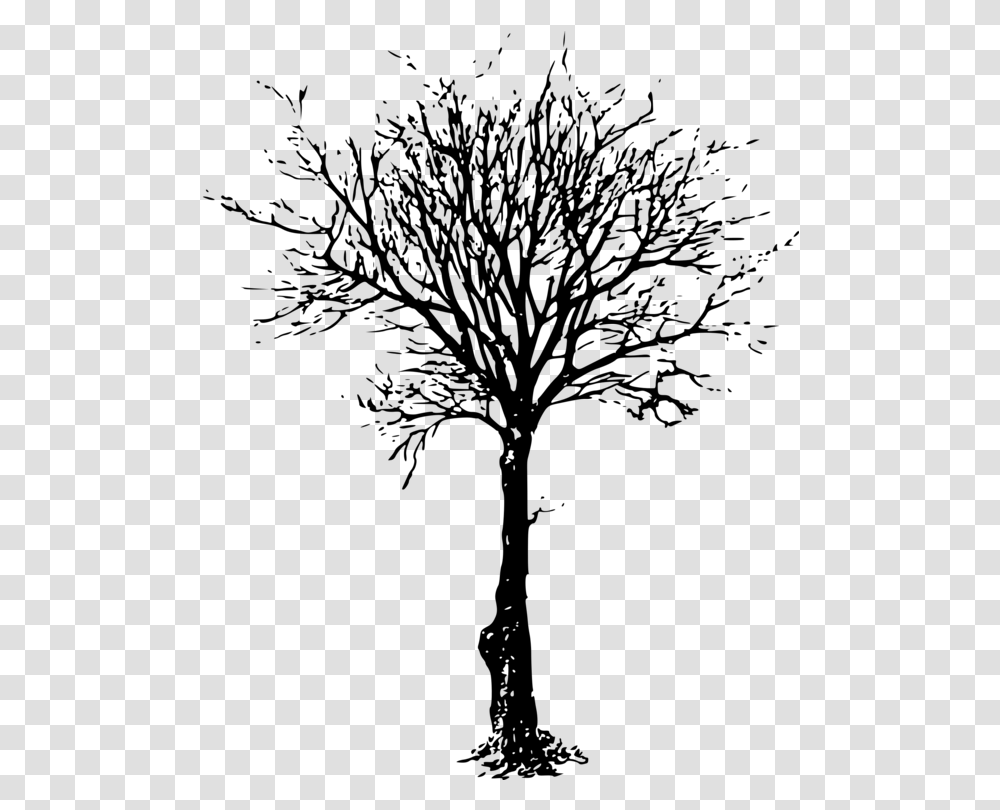 Clip Art Tree Branch Image Silhouette Leafless Tree, Gray, World Of Warcraft Transparent Png