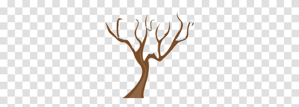 Clip Art Tree No Leaves, Antler Transparent Png