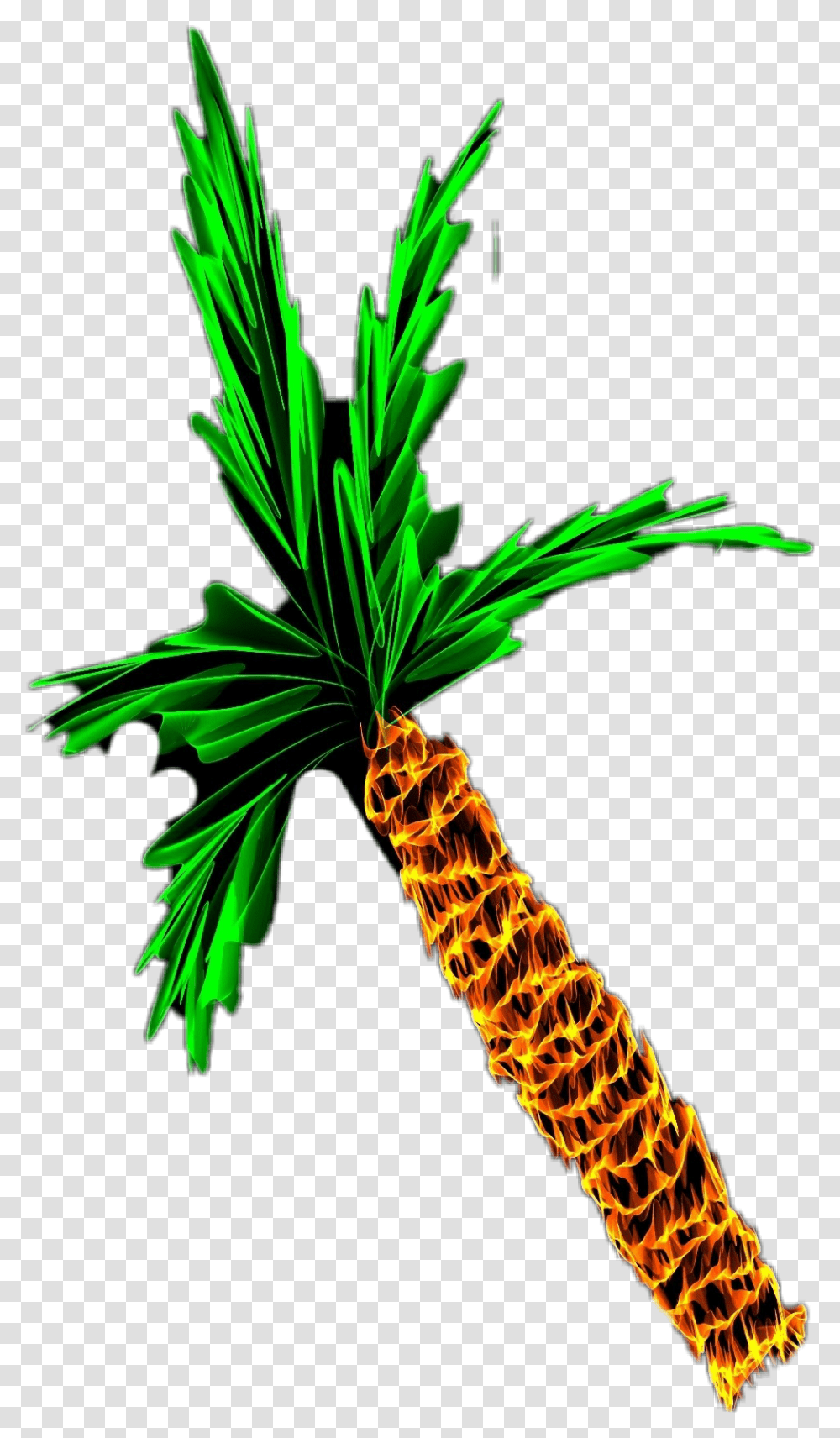 Clip Art, Tree, Plant, Palm Tree, Arecaceae Transparent Png