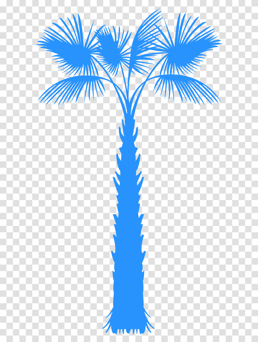 Clip Art, Tree, Plant, Palm Tree, Person Transparent Png