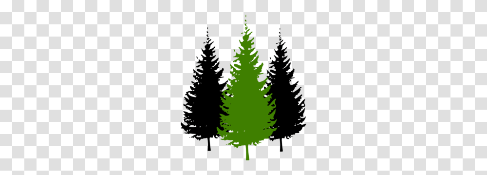 Clip Art, Tree, Plant, Pine, Ornament Transparent Png