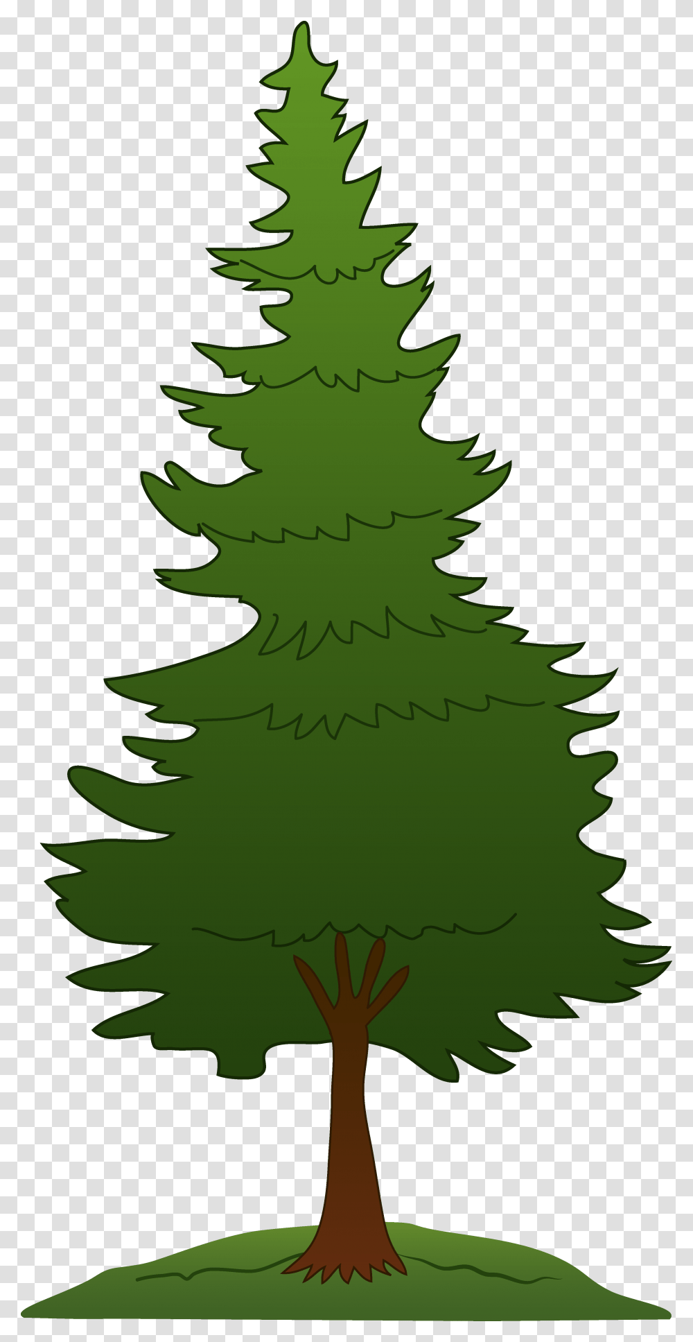 Clip Art Tree Trunk, Plant, Christmas Tree, Ornament, Pine Transparent Png