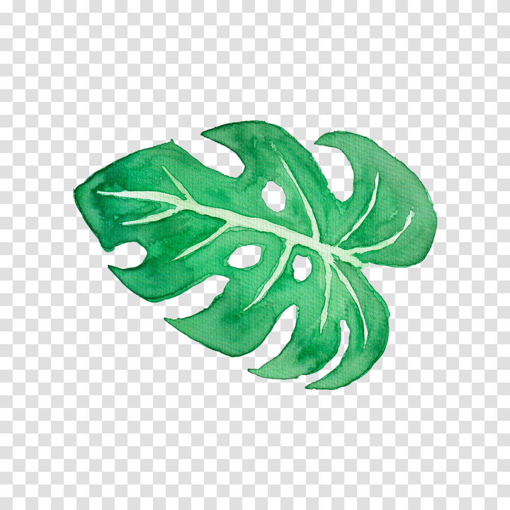 Clip Art Tropical Leaves, Leaf, Plant, Food, Vegetable Transparent Png