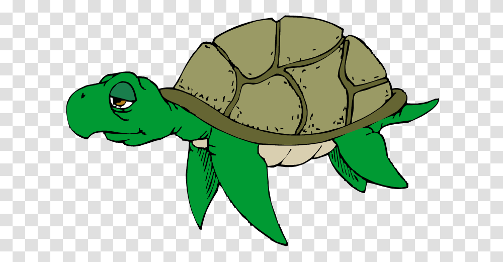 Clip Art Turtle Clip Art, Apparel, Helmet, Animal Transparent Png