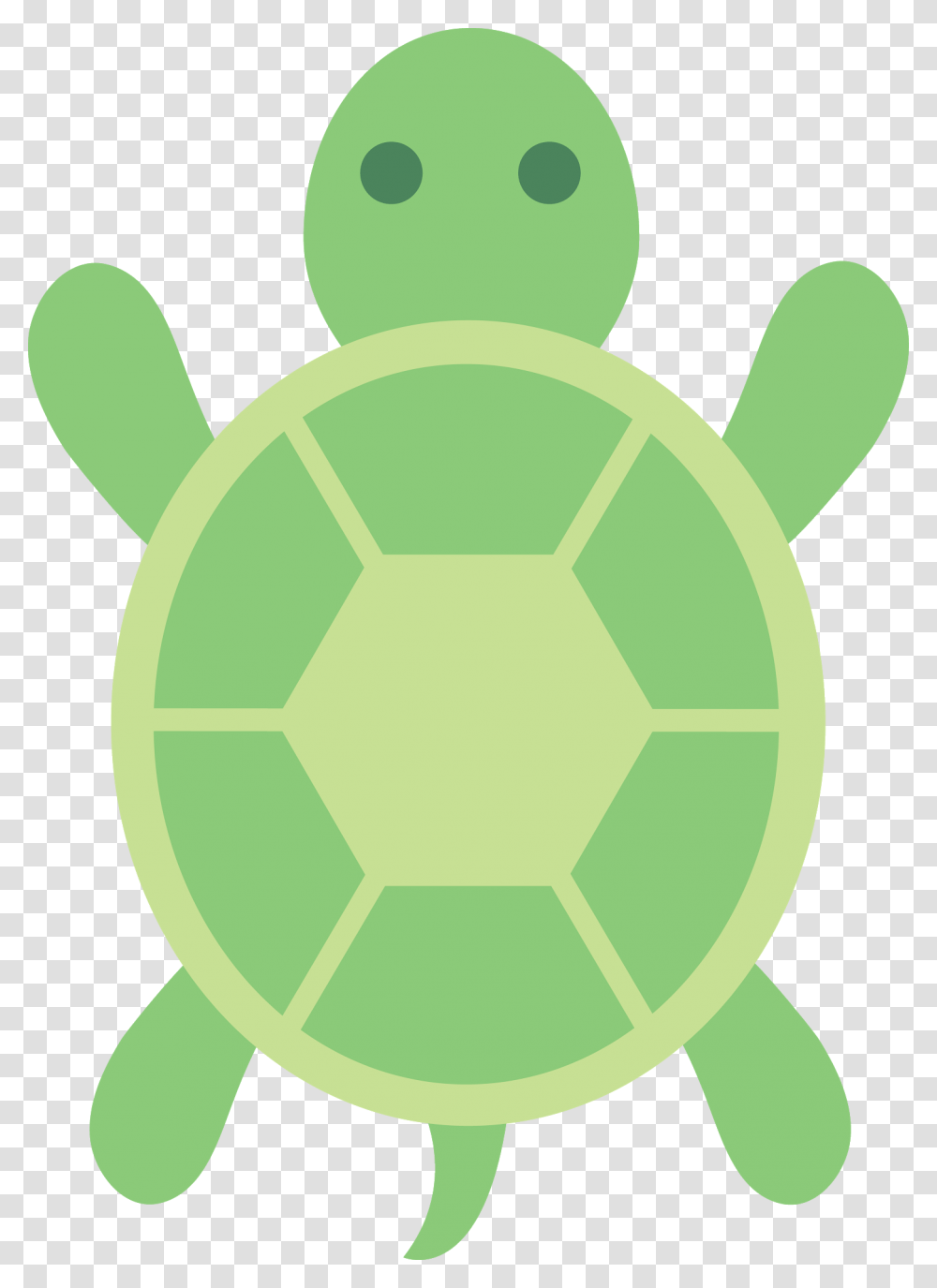 Clip Art Turtle, Tortoise, Reptile, Sea Life, Animal Transparent Png