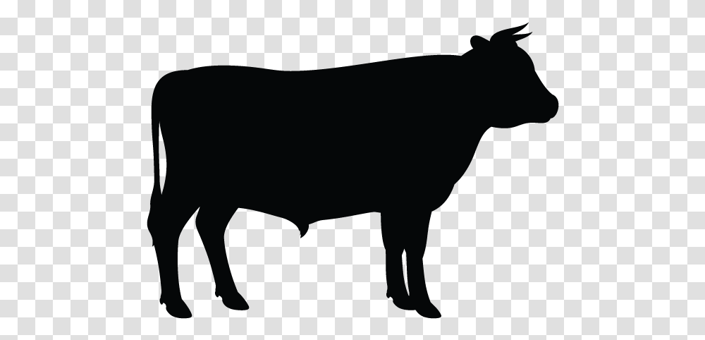Clip Art Vector Graphics Angus Cattle Silhouette Holstein Cow Silhouette Vector, Hog, Pig, Mammal, Animal Transparent Png