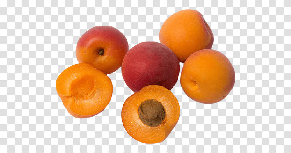 Clip Art Vegetables And Herbs Apricots Large Apricots, Plant, Produce, Food, Fruit Transparent Png