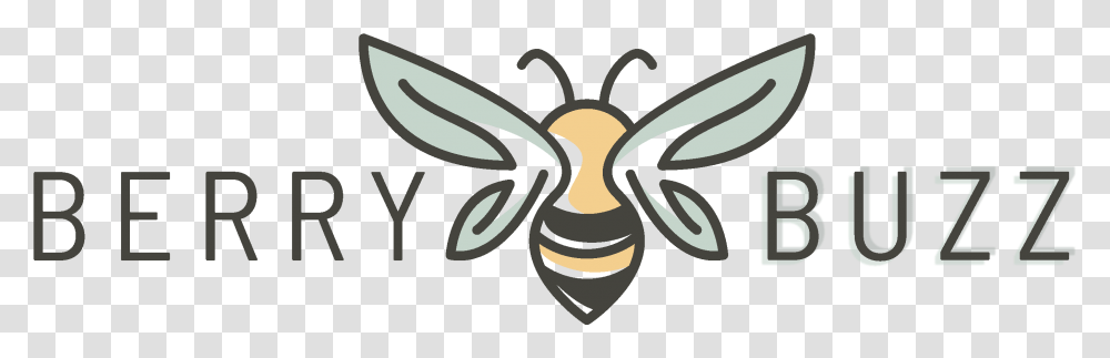 Clip Art, Wasp, Bee, Insect, Invertebrate Transparent Png