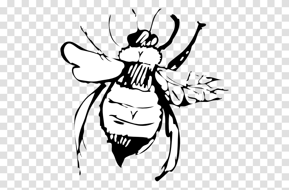 Clip Art, Wasp, Bee, Insect, Invertebrate Transparent Png