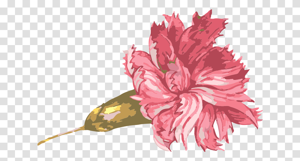 Clip Art Watercolor Painting Illustration Hand Flores Efecto Acuarela, Plant, Hibiscus, Flower, Blossom Transparent Png